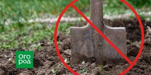 5 Razlogov ne kopajte tal ali kaj je koristna obdelava tal